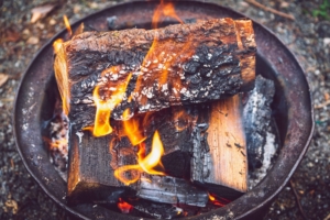 Logs burning in a fire