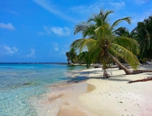 panama island paradise