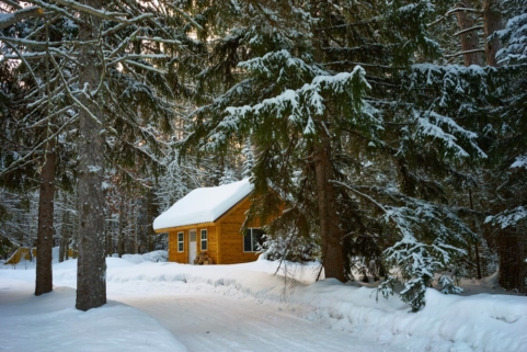 snowy cabin in the woods