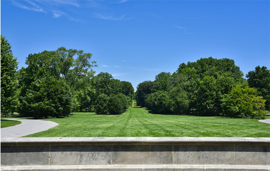 green space and field in park