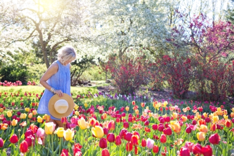 Young woman walking in a field of tulips