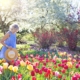 Young woman walking in a field of tulips
